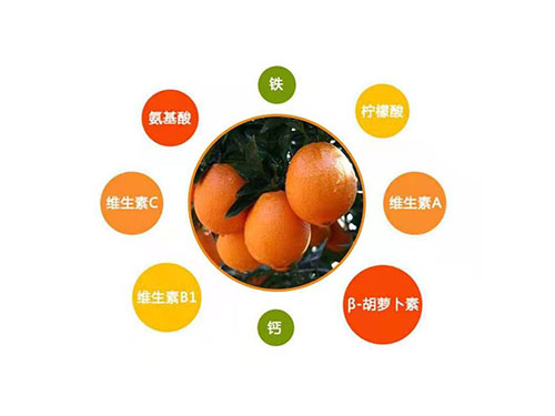 纽荷尔