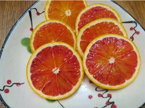 血橙