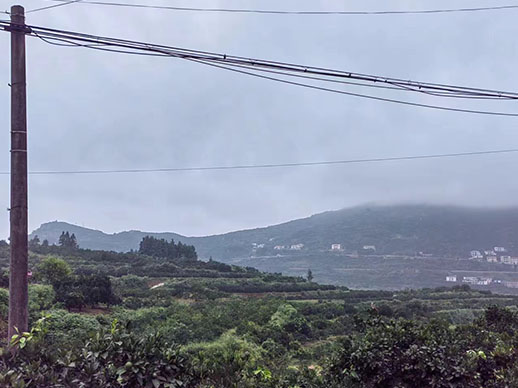 溆浦县好友果品种植专业合作社,好友果品种植,怀化蜜桔批发,湖南蜜桔价格,纽荷尔脐橙价格,湖南柑橘,蜜桔